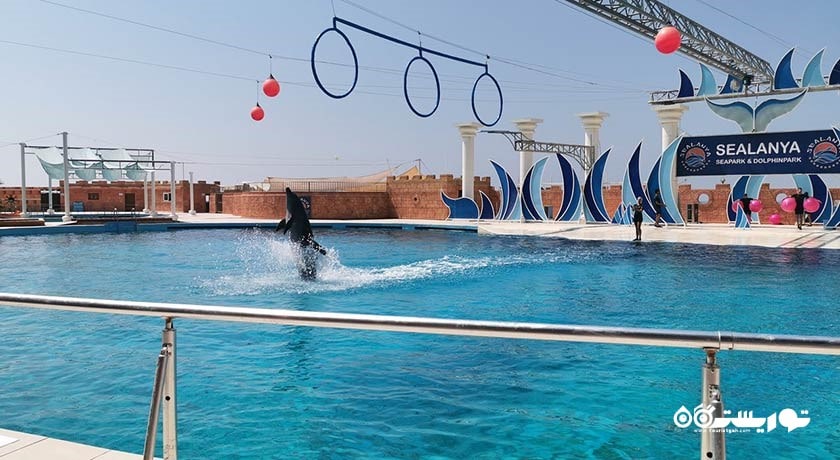 پارک دلفین سیلانیا -  شهر آلانیا