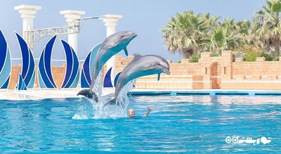 سرگرمی پارک دلفین سیلانیا شهر ترکیه کشور آلانیا