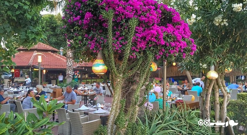 رستوران رستوران گرین بیچ شهر آلانیا 