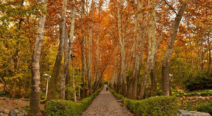  پارک جمشیدیه شهر تهران استان تهران