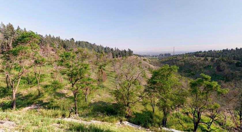  پارک جنگلی پردیسان شهر تهران استان تهران