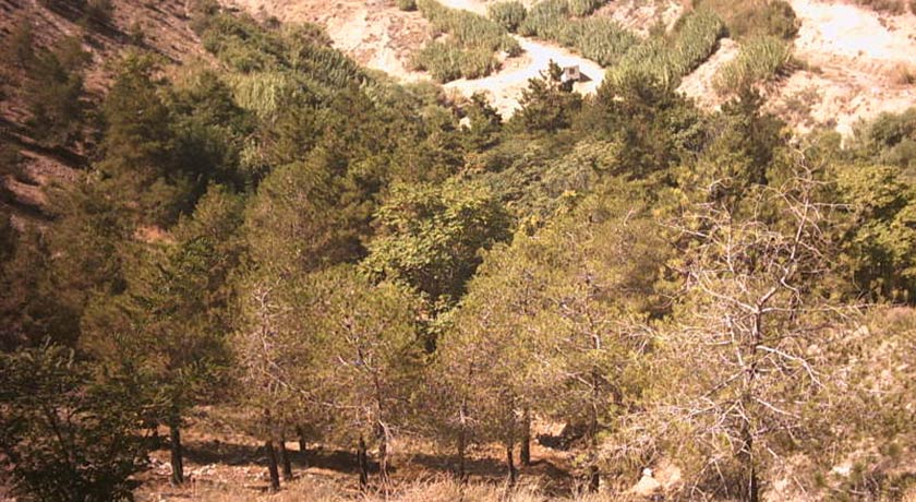  پارک جنگلی پردیسان شهر تهران استان تهران