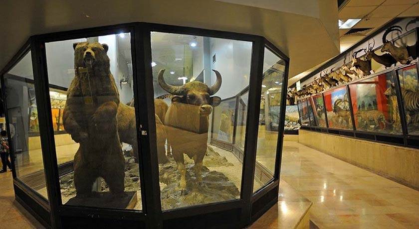  پارک جنگلی پردیسان شهر تهران استان تهران