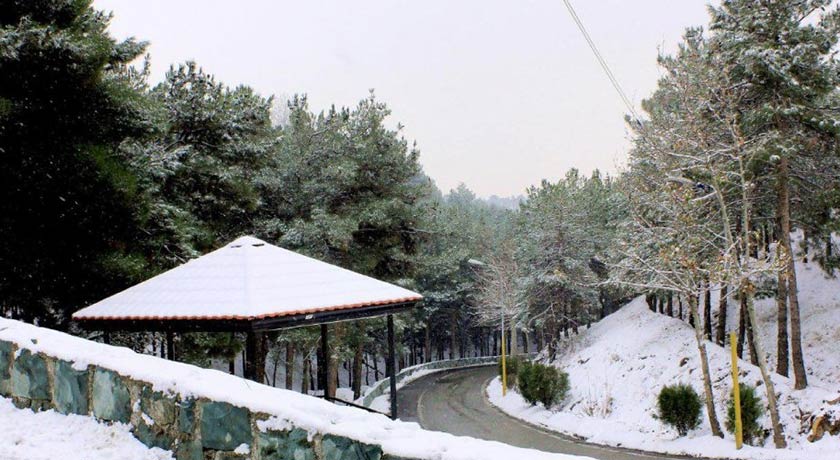  پارک جنگلی لویزان شهر تهران استان تهران