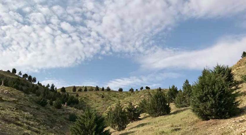  پارک جنگلی کوهسار شهر تهران استان تهران