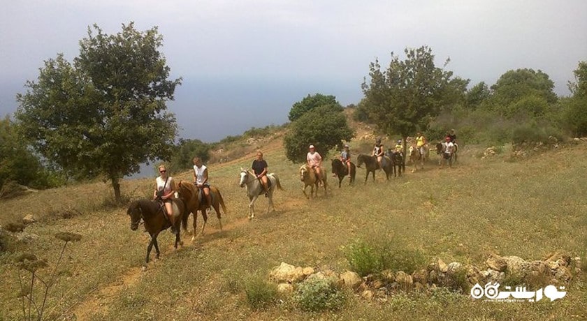 سرگرمی اسب سواری در آلانیا شهر ترکیه کشور آلانیا