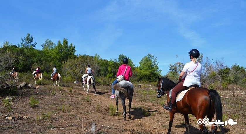 سرگرمی اسب سواری در آلانیا شهر ترکیه کشور آلانیا