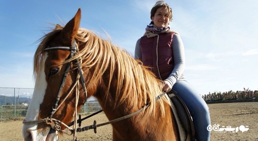 سرگرمی اسب سواری در آلانیا شهر ترکیه کشور آلانیا