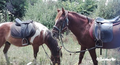 اسب سواری در آلانیا -  شهر آلانیا