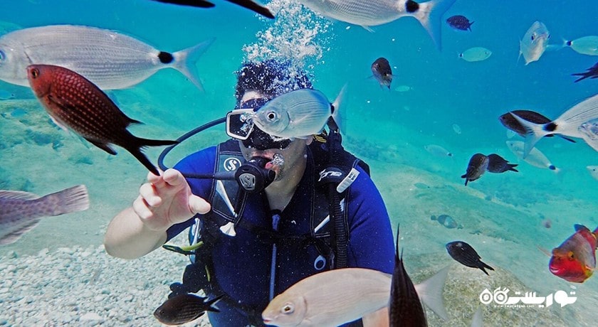 سرگرمی غواصی در آلانیا شهر ترکیه کشور آلانیا