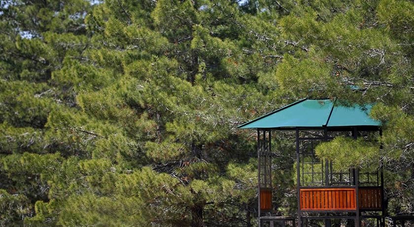  پارک جنگلی یاس فاطمی شهر تهران استان تهران