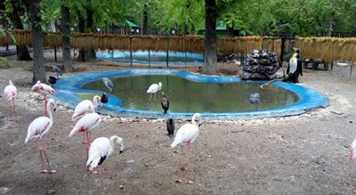  پارک شهر شهر تهران استان تهران