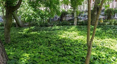  پارک شهر شهر تهران استان تهران