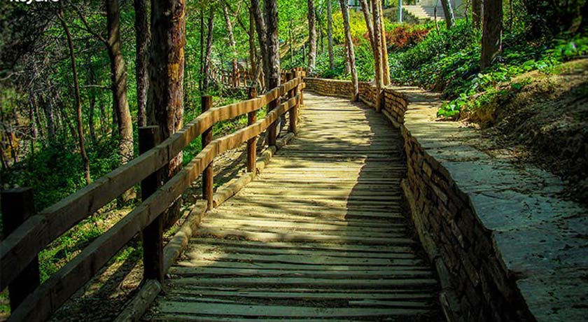 پارک  طالقانی -  شهر تهران