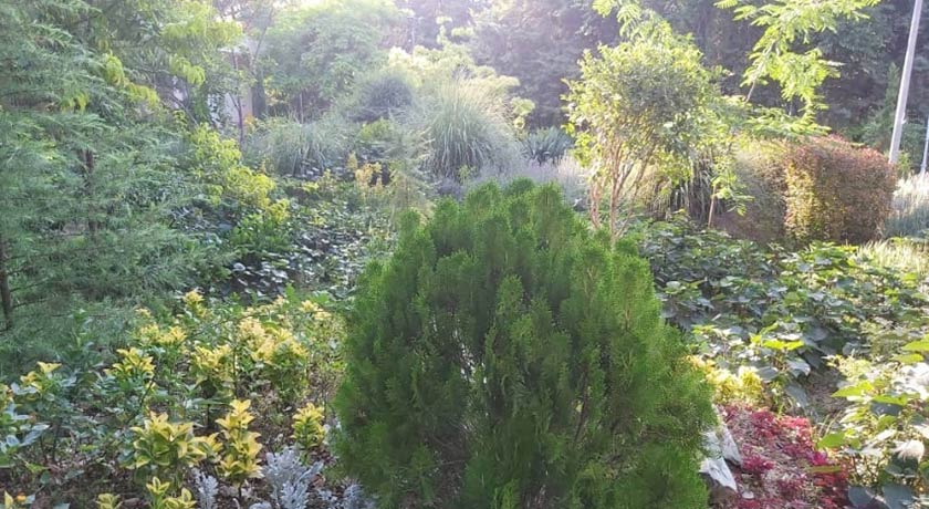  پارک  طالقانی شهر تهران استان تهران