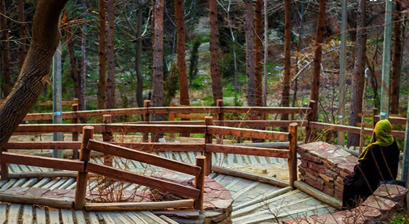  پارک  طالقانی شهر تهران استان تهران