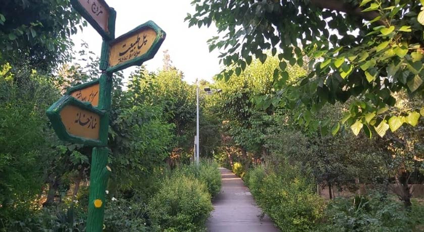  پارک  طالقانی شهر تهران استان تهران