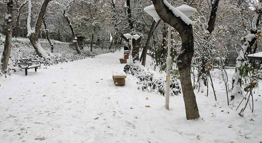  پارک قیطریه شهر تهران استان تهران