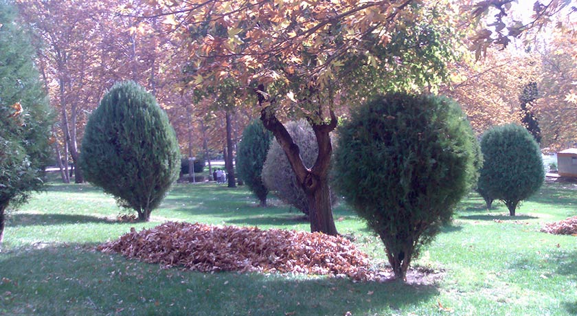  پارک ملت شهر تهران استان تهران