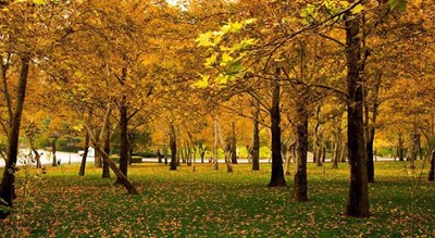  پارک ملت شهر تهران استان تهران