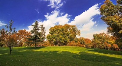  پارک ملت شهر تهران استان تهران