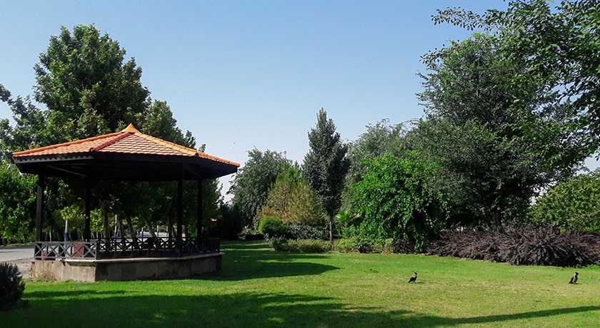  پارک ولایت شهر تهران استان تهران