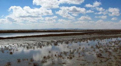  شهر ورزنه شهرستان اصفهان استان اصفهان