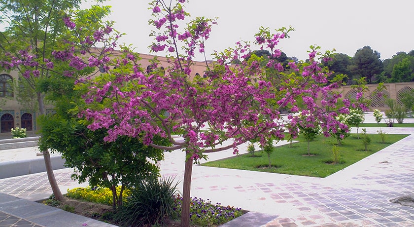  موزه تاریخ طبیعی اصفهان شهرستان اصفهان استان اصفهان