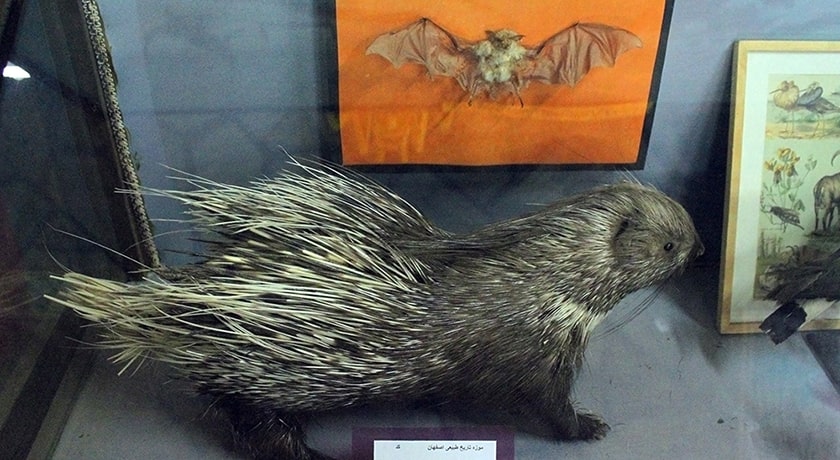  موزه تاریخ طبیعی اصفهان شهرستان اصفهان استان اصفهان