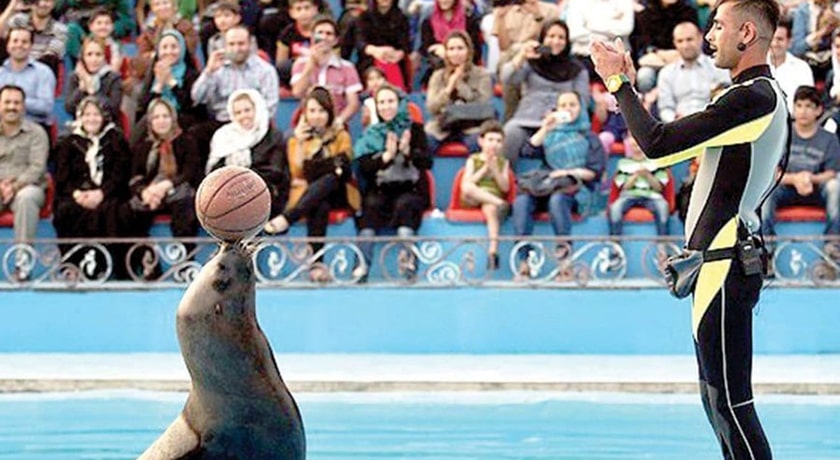  دلفیناریوم برج میلاد شهر تهران استان تهران