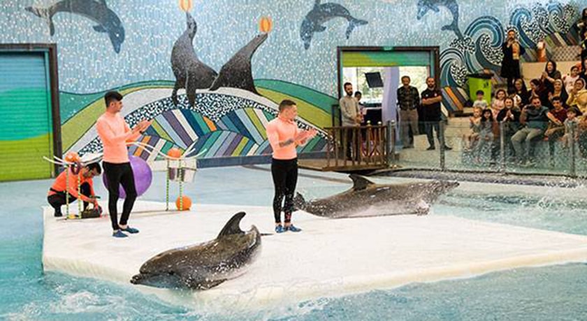  دلفیناریوم برج میلاد شهر تهران استان تهران