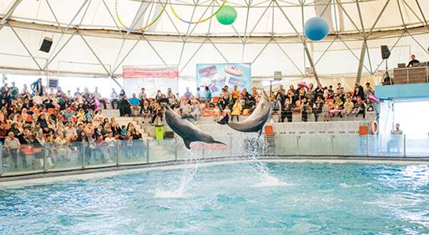 دلفیناریوم برج میلاد -  شهر تهران