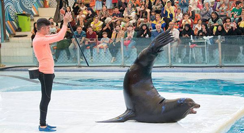 دلفیناریوم برج میلاد -  شهر تهران