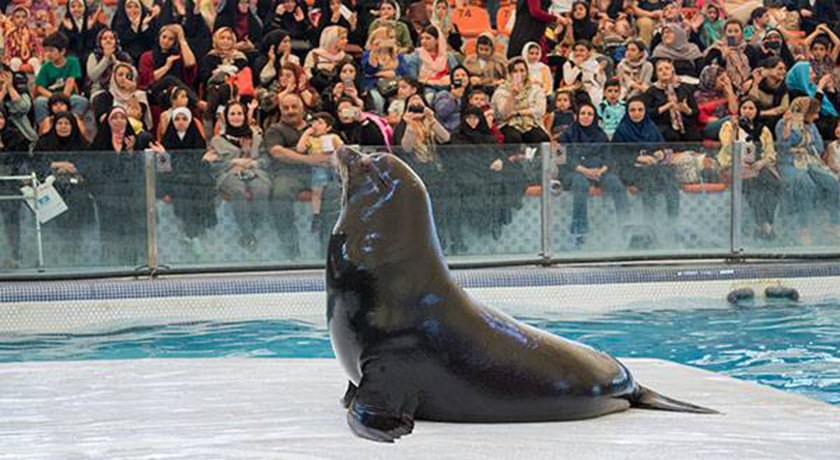  دلفیناریوم برج میلاد شهر تهران استان تهران