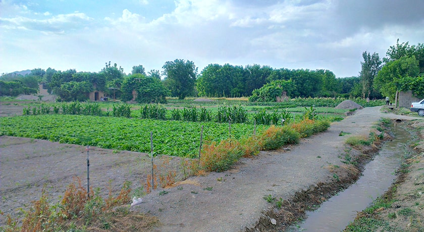  پارک جنگلی ناژوان شهر اصفهان استان اصفهان