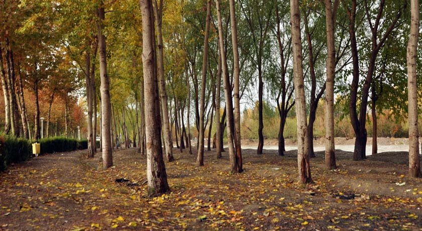  پارک جنگلی ناژوان شهر اصفهان استان اصفهان