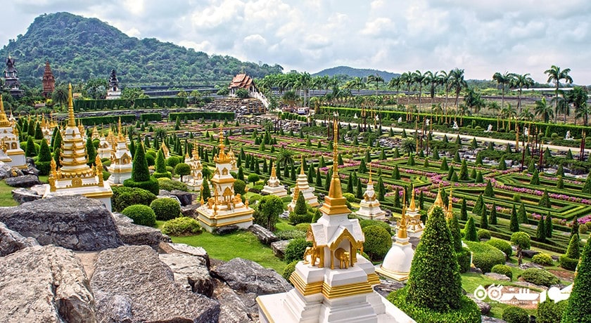 سرگرمی باغ گیاه شناسی گرمسیری نونگ نوچ شهر تایلند کشور پاتایا