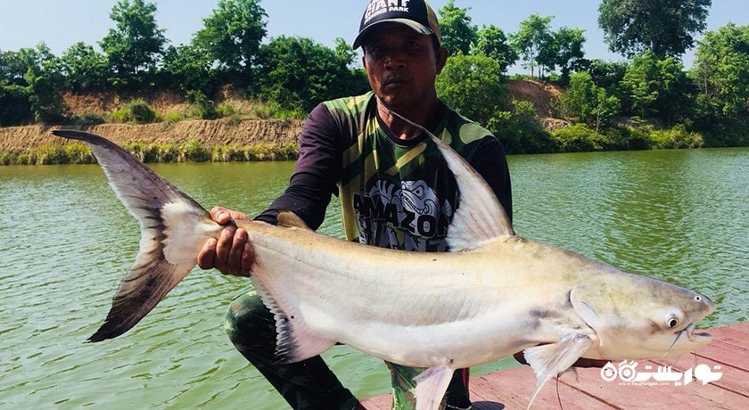 سرگرمی پارک ماهیگیری آمازون شهر تایلند کشور پاتایا