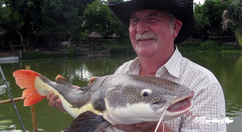 سرگرمی پارک ماهیگیری آمازون شهر تایلند کشور پاتایا