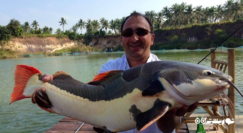 سرگرمی پارک ماهیگیری آمازون شهر تایلند کشور پاتایا