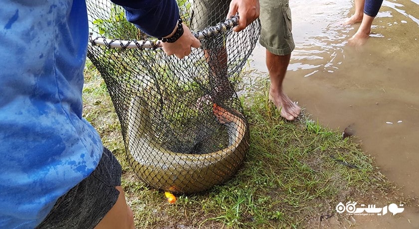 سرگرمی پارک ماهیگیری آمازون شهر تایلند کشور پاتایا