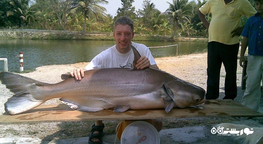 سرگرمی پارک ماهیگیری آمازون شهر تایلند کشور پاتایا