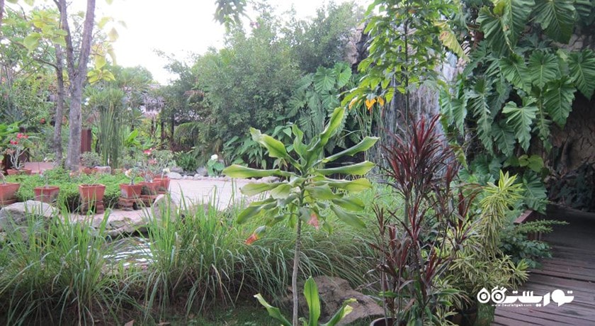 سرگرمی باغ گیاهان دارویی پاتایا شهر تایلند کشور پاتایا