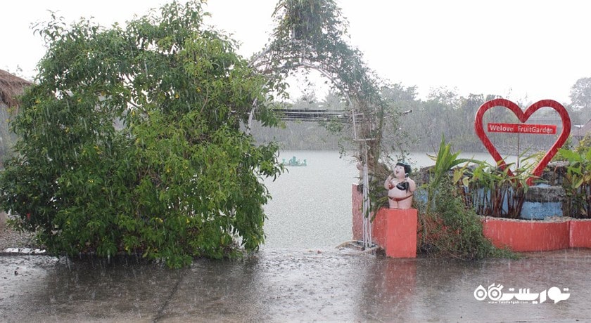 سرگرمی باغ گیاهان دارویی پاتایا شهر تایلند کشور پاتایا