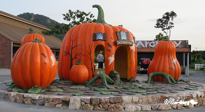 سرگرمی مزرعه گوسفند سوئیسی شهر تایلند کشور پاتایا