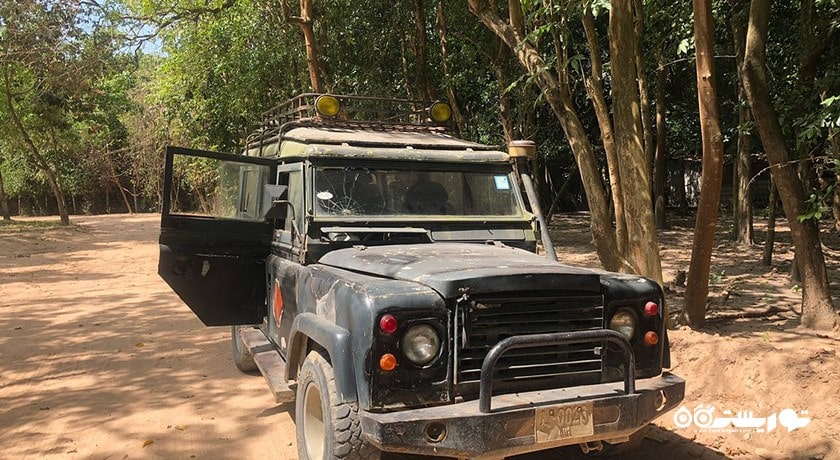 سرگرمی دهکده فیل شهر تایلند کشور پاتایا