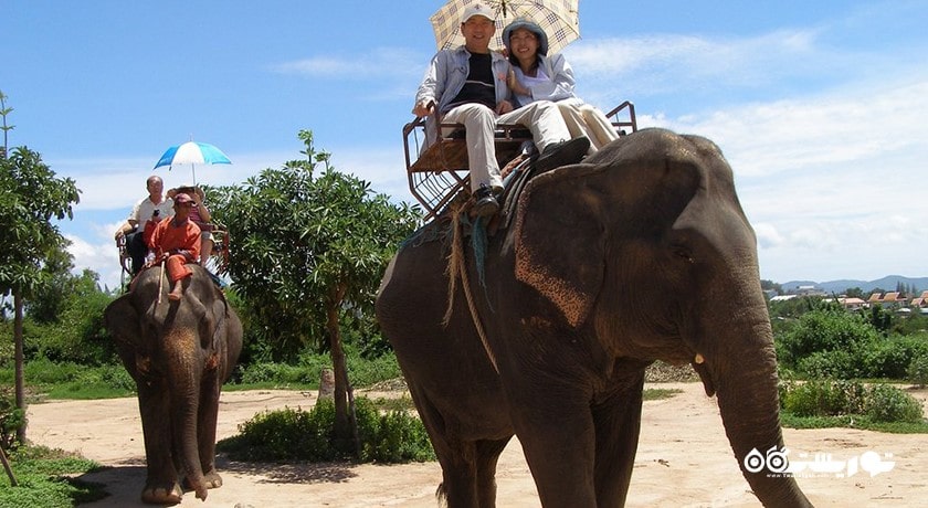 سرگرمی دهکده فیل شهر تایلند کشور پاتایا