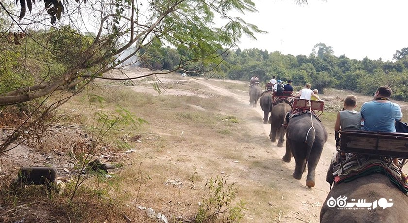 سرگرمی دهکده فیل شهر تایلند کشور پاتایا