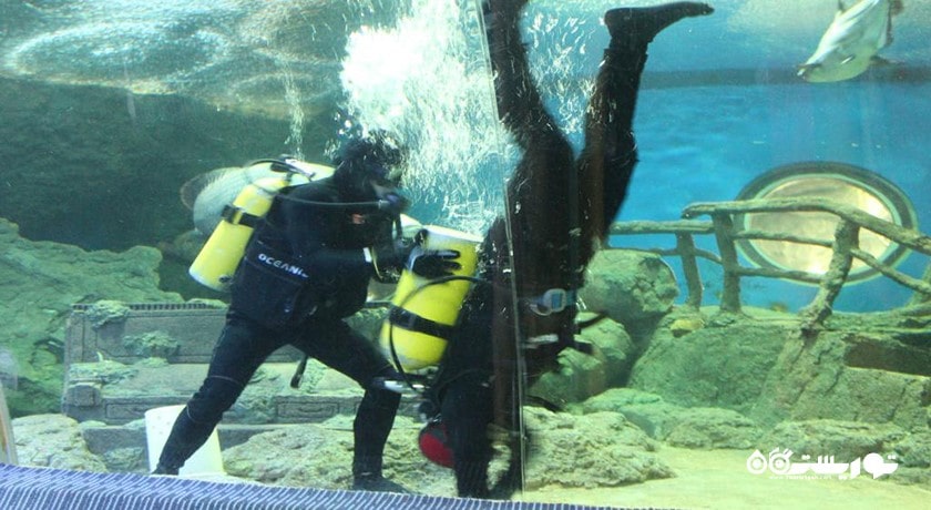 سرگرمی آکواریوم دنیای زیر آب پاتایا شهر تایلند کشور پاتایا