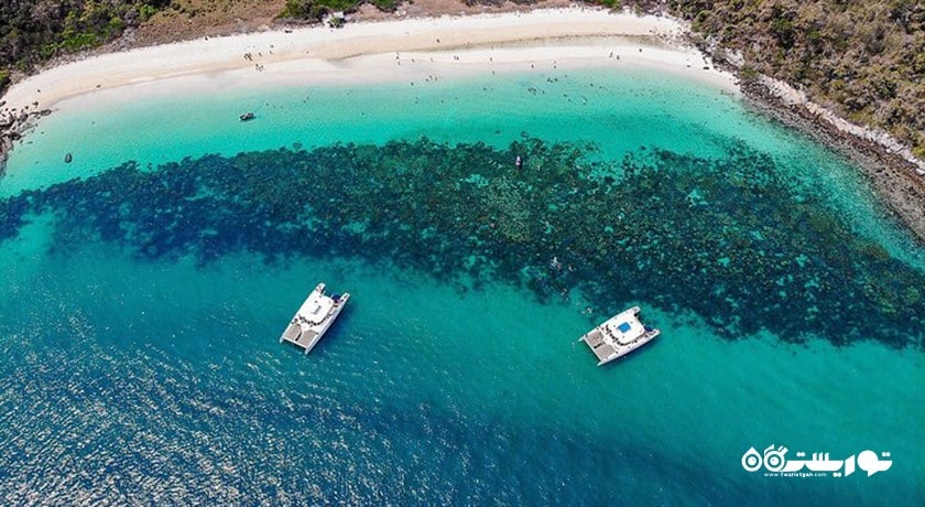 سرگرمی جزیره میمون در پاتایا شهر تایلند کشور پاتایا